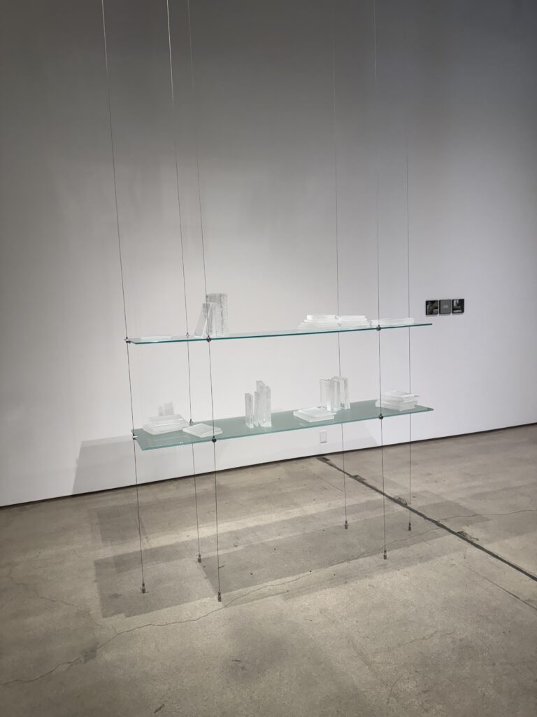 Img 2656