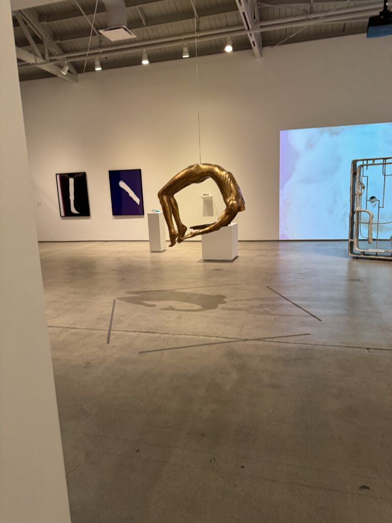 Img 2657