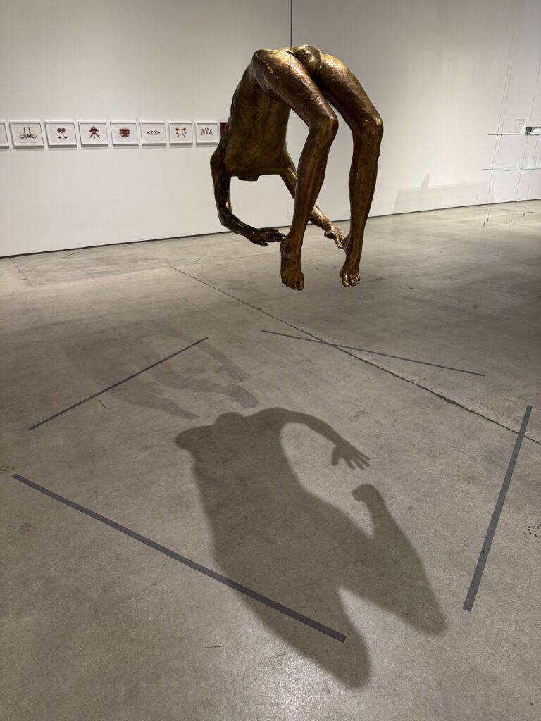 Img 2666
